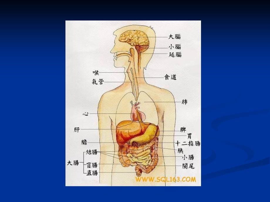 沈阳肝炎医院哪家好乙肝基础知识讲座_第5页