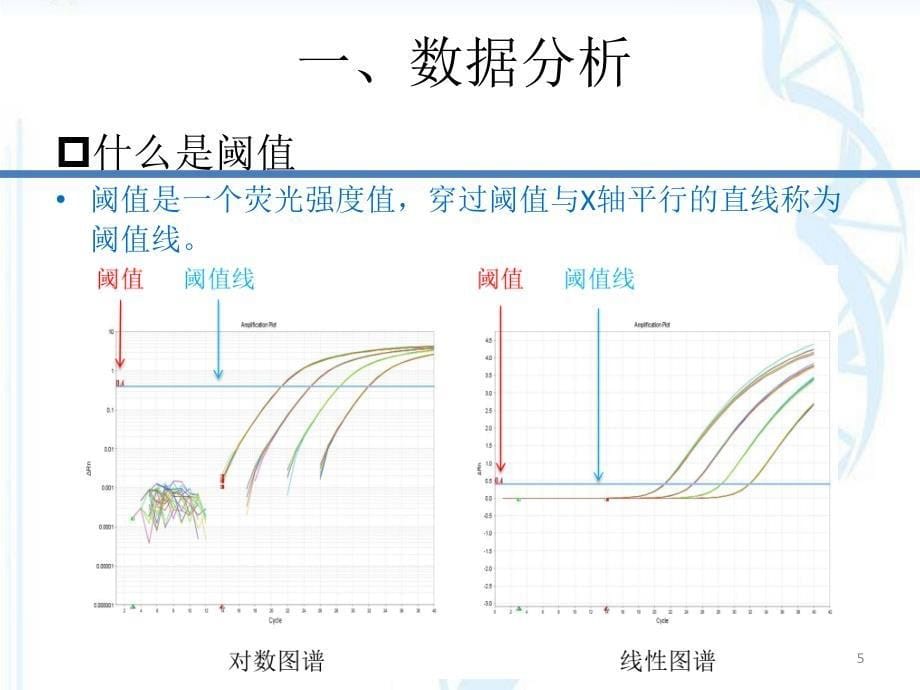 优质课件实时荧光定量PCR数据分析及常见问题分析_第5页