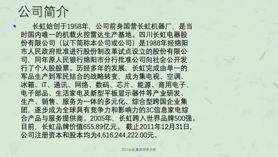 四川长虹集团财务分析ppt课件_第2页