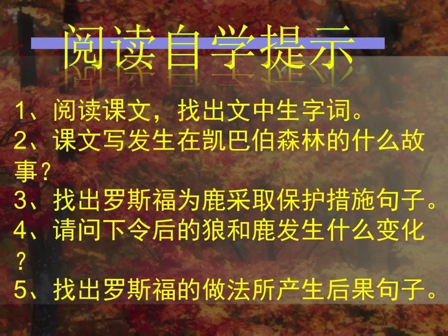 鹿和狼的故事课件_第5页