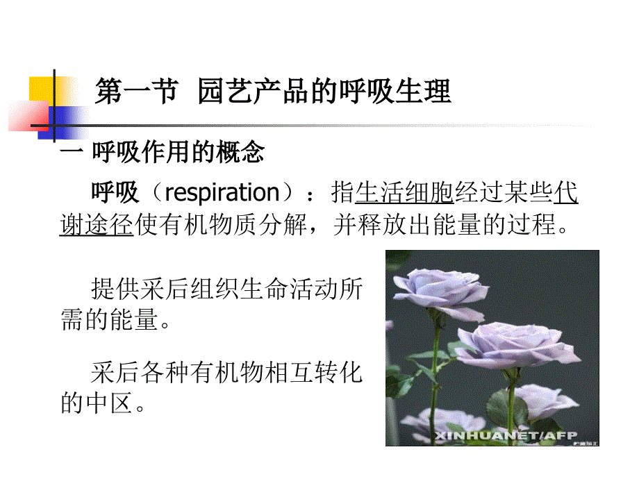 果蔬采后生理学概述PPT68张课件_第4页