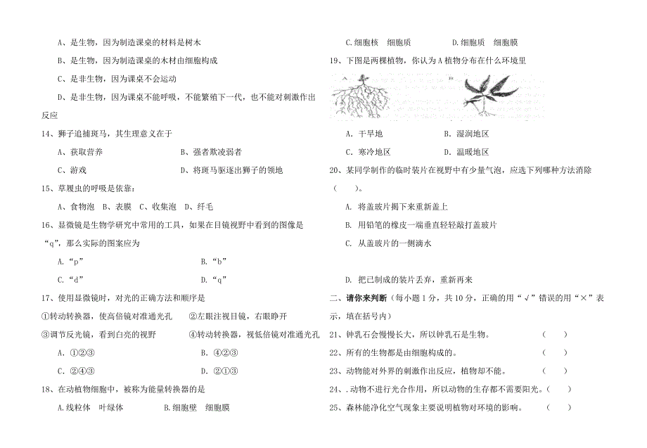 苏教版七年级上册生物期中测试试卷.doc_第2页