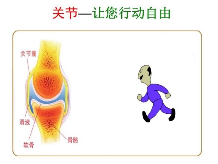 最新常见骨病PPT课件_第4页