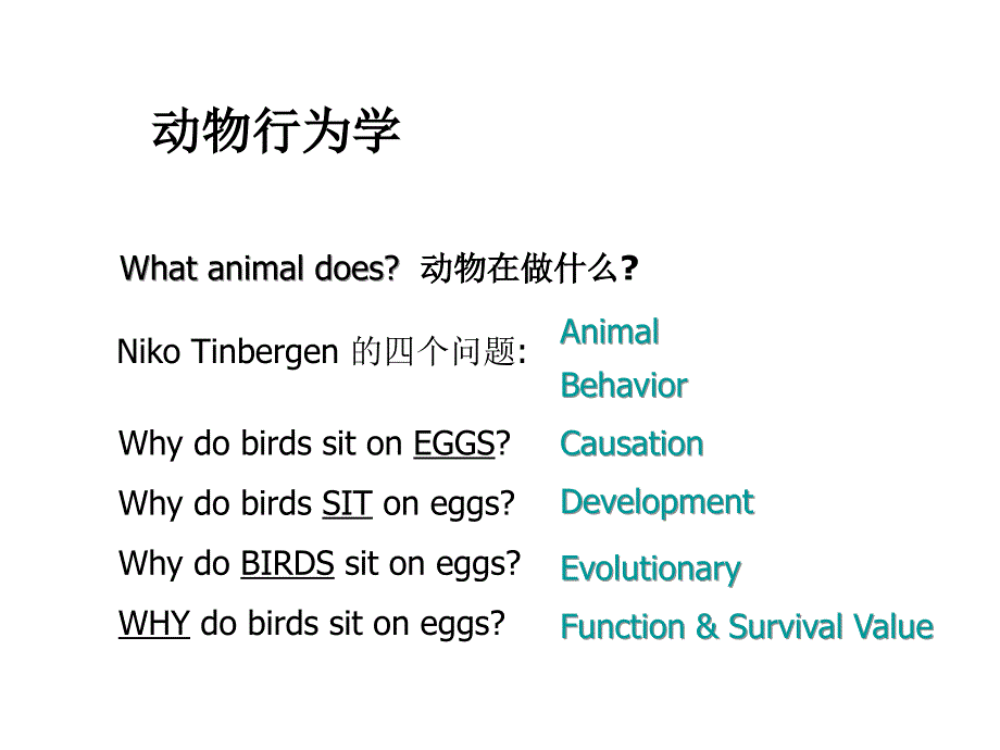 最新动物行为学张力老师ppt课件_第2页