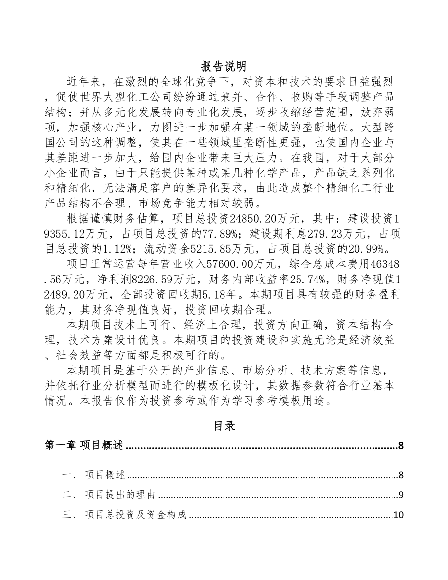 普洱市醚化剂项目可行性研究报告(DOC 81页)_第1页