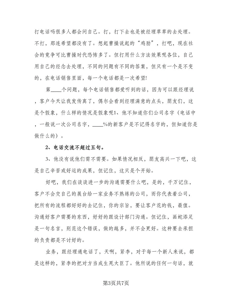 2023年公司电话销售的工作计划标准模板（二篇）_第3页