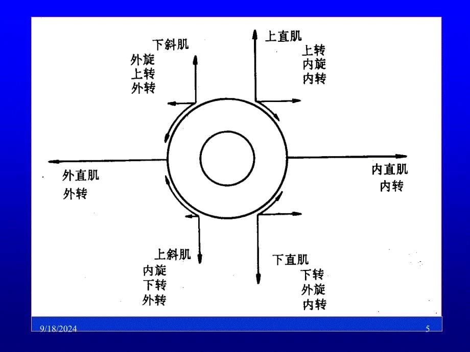 眼外肌病医学PPT课件_第5页