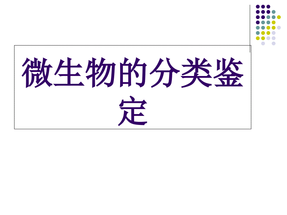 微生物鉴定PPT课件_第1页