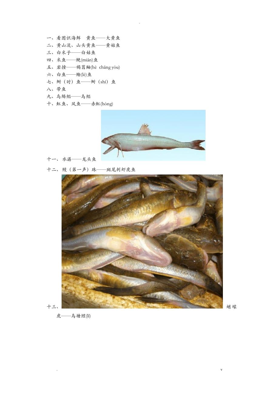 海鲜鱼类图片_第1页