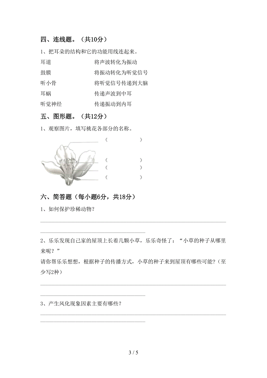 新人教版四年级科学上册期中模拟考试(附答案).doc_第3页