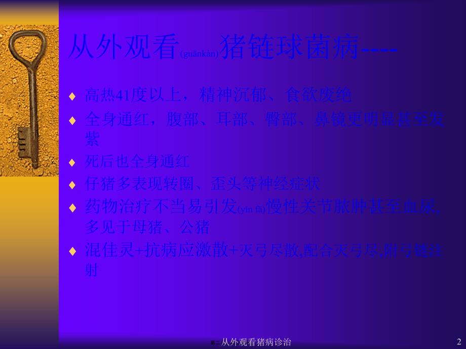 从外观看猪病诊治课件_第2页