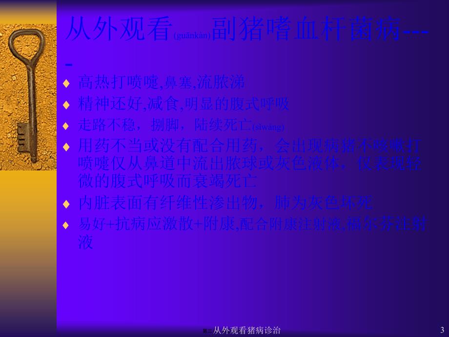 从外观看猪病诊治课件_第3页