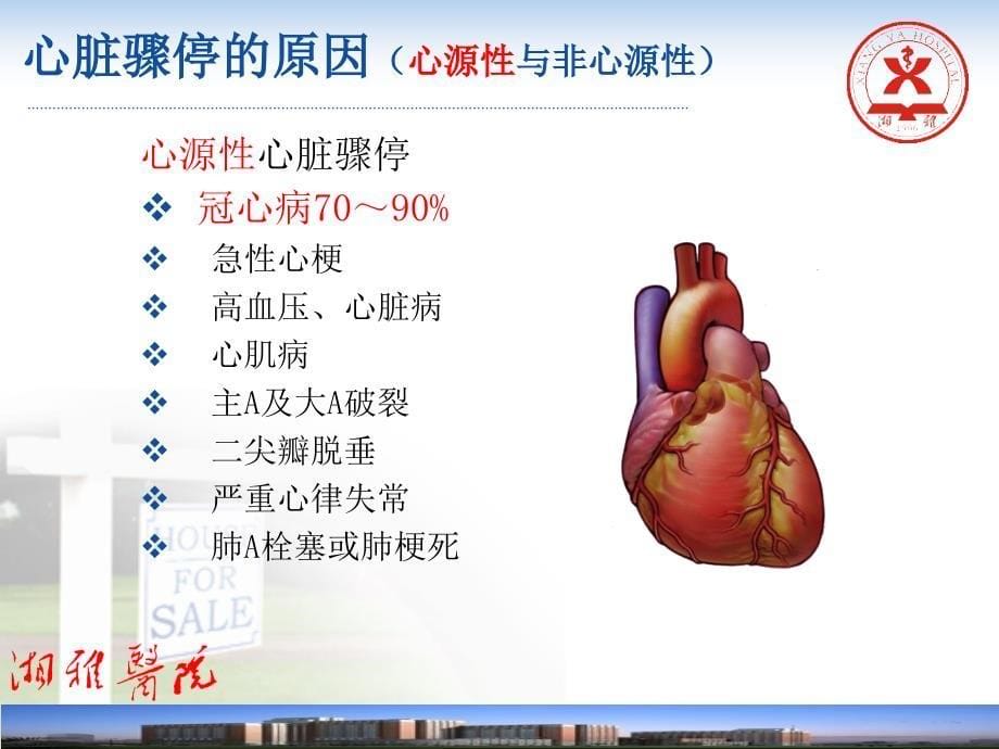 2010年国际心肺复苏指南终稿_第5页