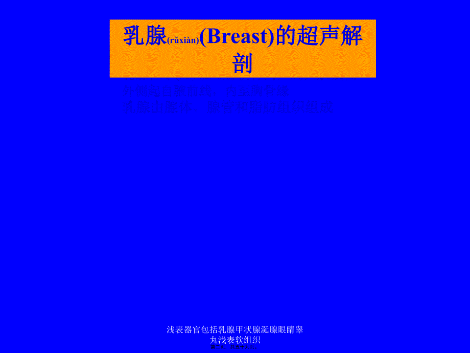 浅表器官包括乳腺甲状腺涎腺眼睛睾丸浅表软组织课件_第2页