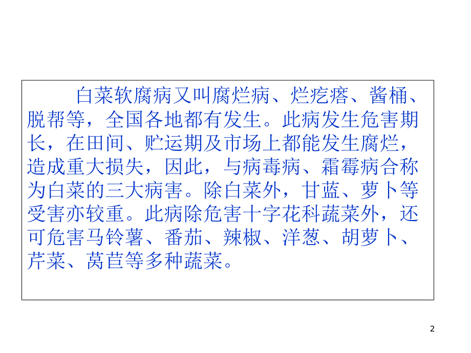 农民培训技术——白菜软腐病治及防治方法课件_第2页