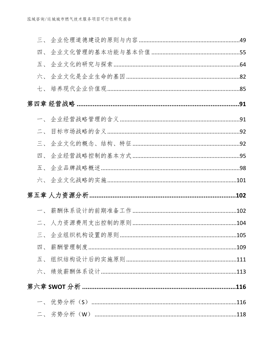 运城城市燃气技术服务项目可行性研究报告（模板范本）_第2页