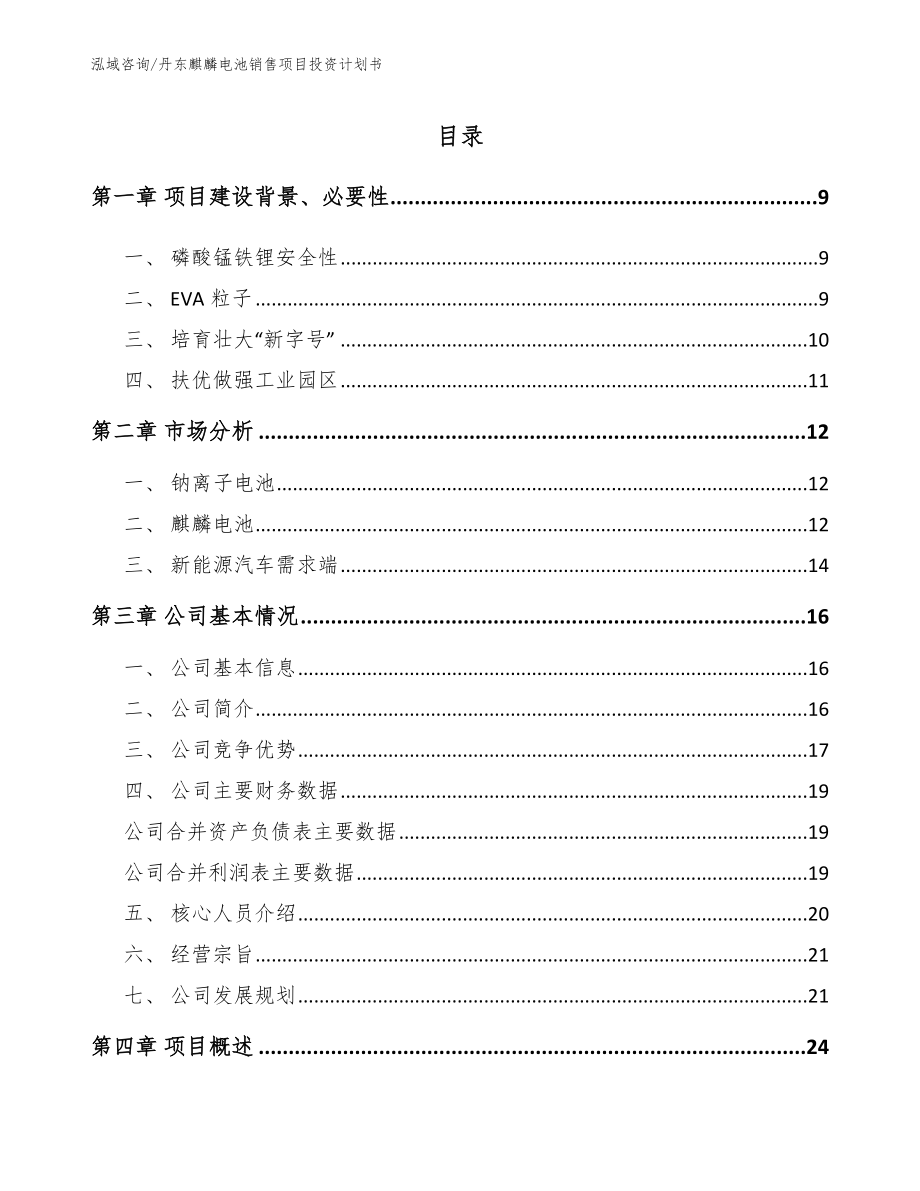 丹东麒麟电池销售项目投资计划书（参考模板）_第2页