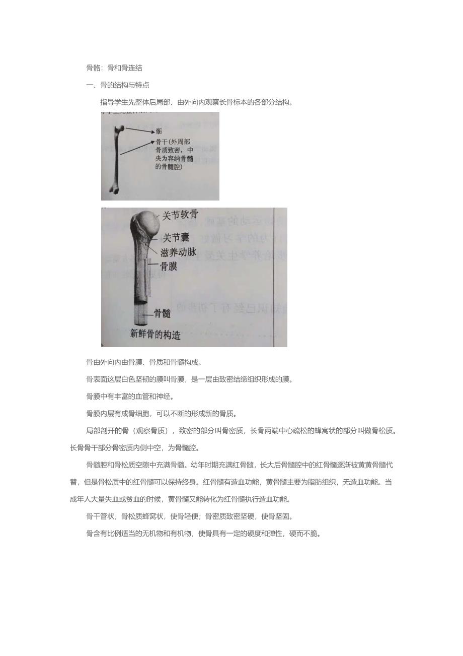 第一节运动的基础教学设计.docx_第3页