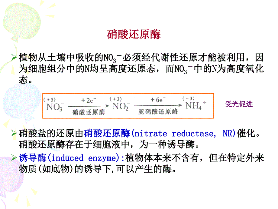 实验三硝酸还原酶活性测定_第2页