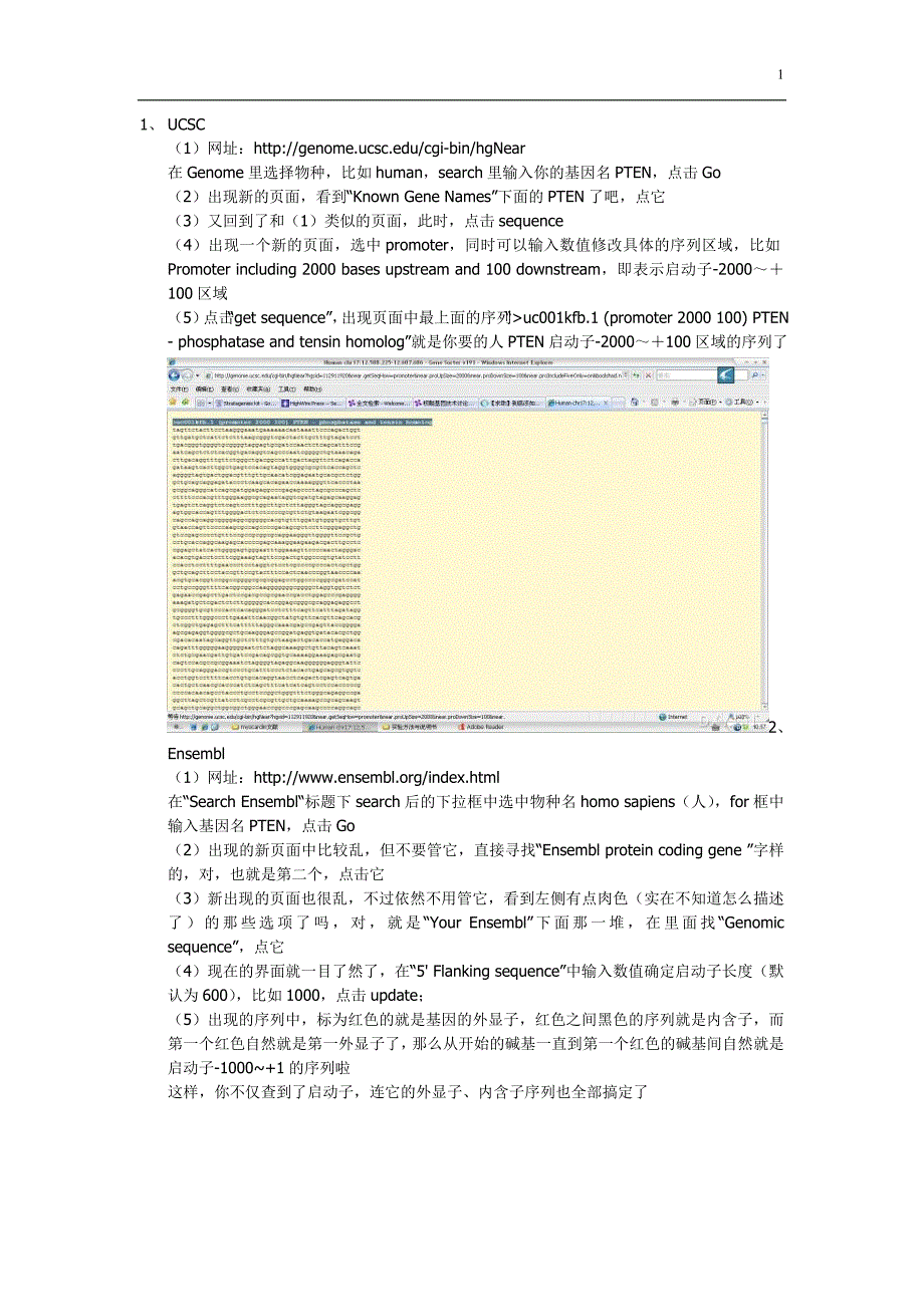 如何找一个基因的启动子序列呢？_第1页