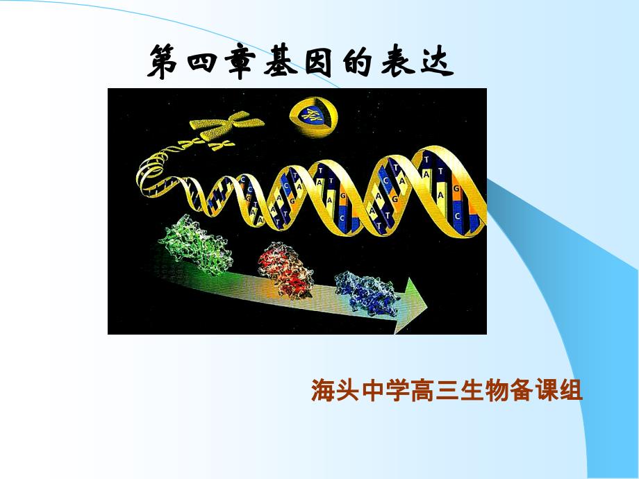 人教版教学课件基因指导蛋白质合成复习课件_第1页