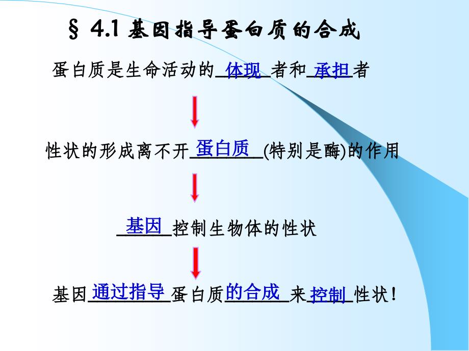 人教版教学课件基因指导蛋白质合成复习课件_第2页