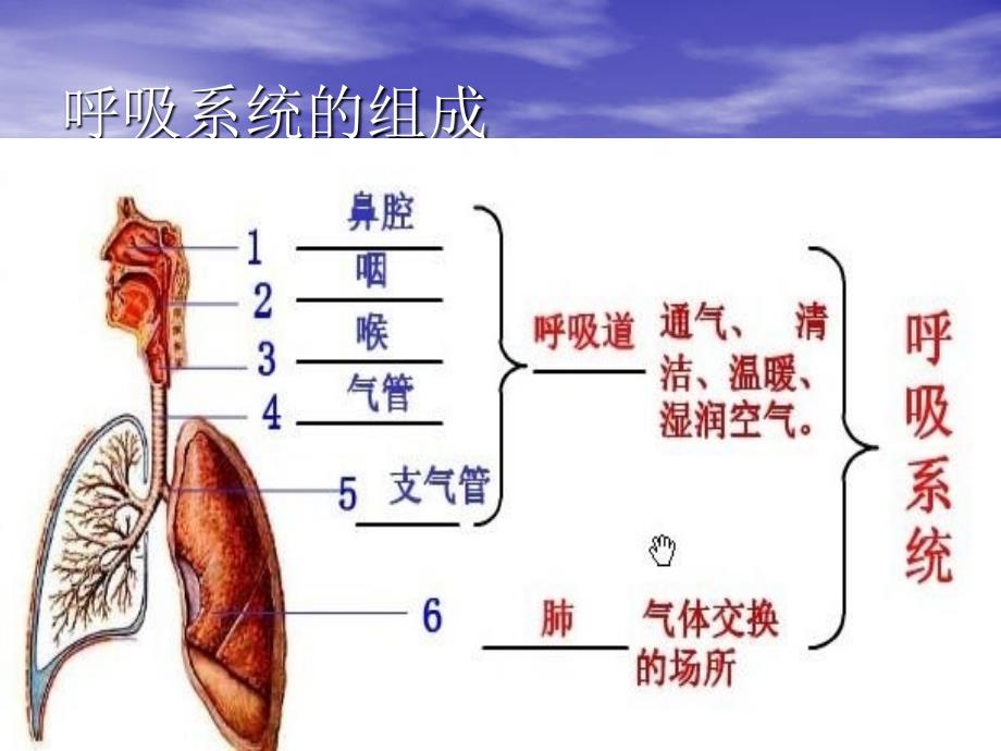 呼吸系统疾病的护理_第4页