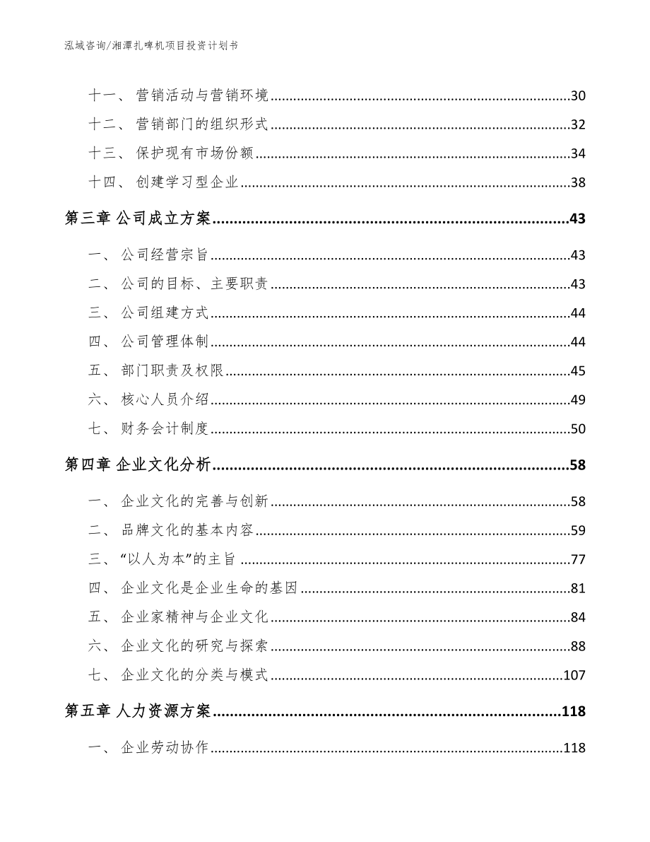 湘潭扎啤机项目投资计划书【范文参考】_第3页