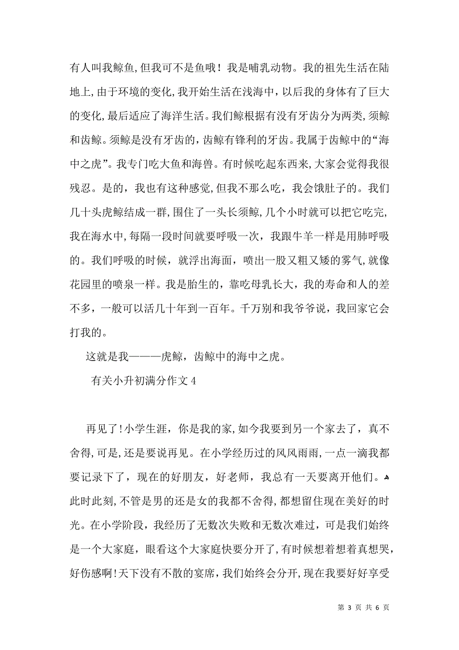 有关小升初满分作文_第3页