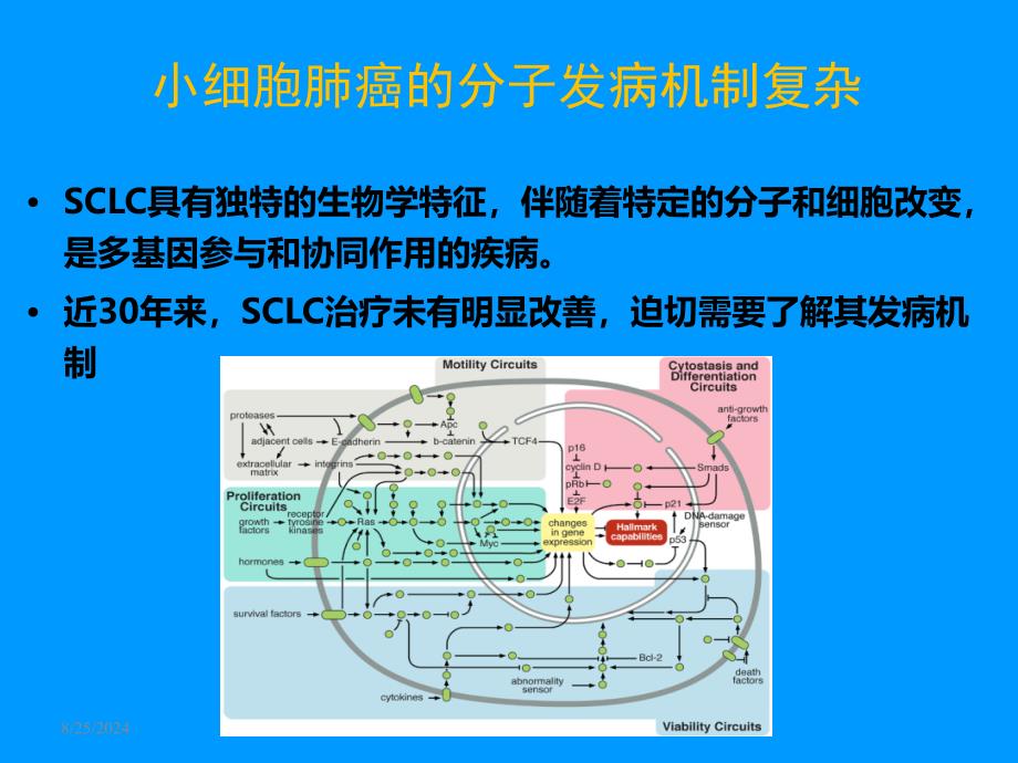 CSCO小细胞肺癌PPT课件_第3页