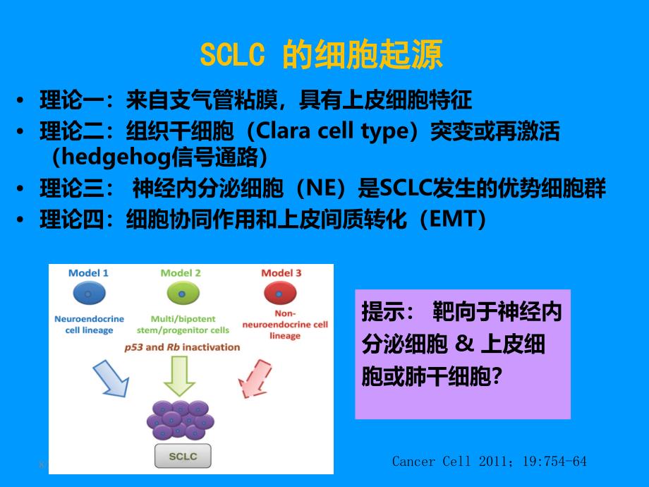 CSCO小细胞肺癌PPT课件_第4页