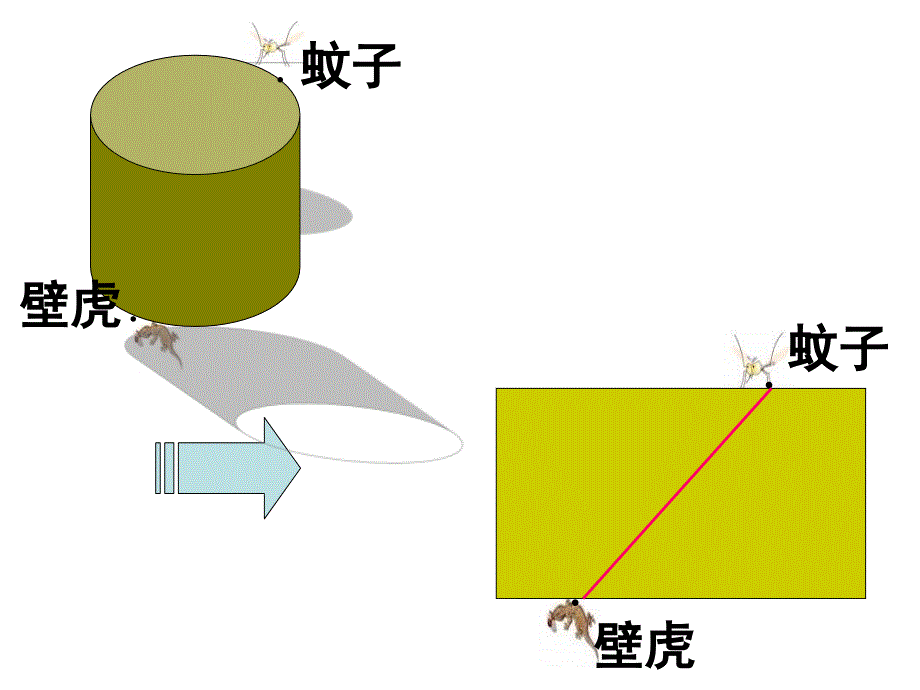 七年级数学平面与立体立体图形的展开图_第3页