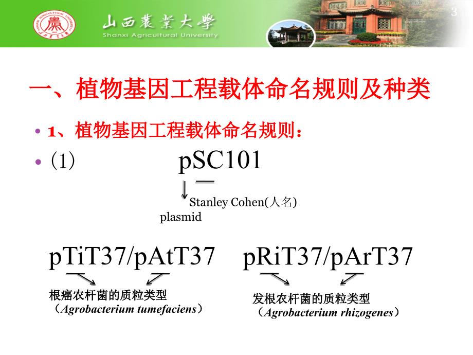 目的基因的转化及其原理_第3页