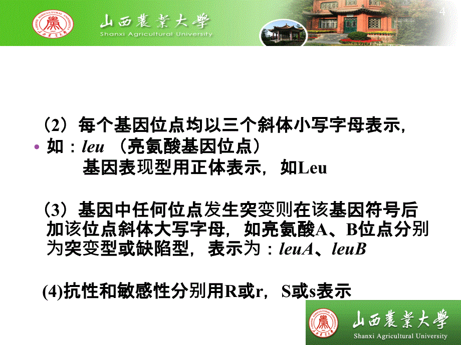 目的基因的转化及其原理_第4页