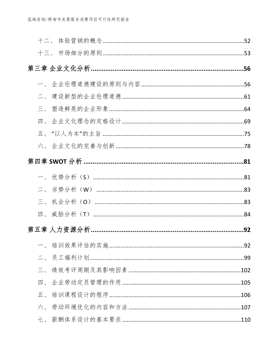 桦甸市发展服务消费项目可行性研究报告模板范本_第3页