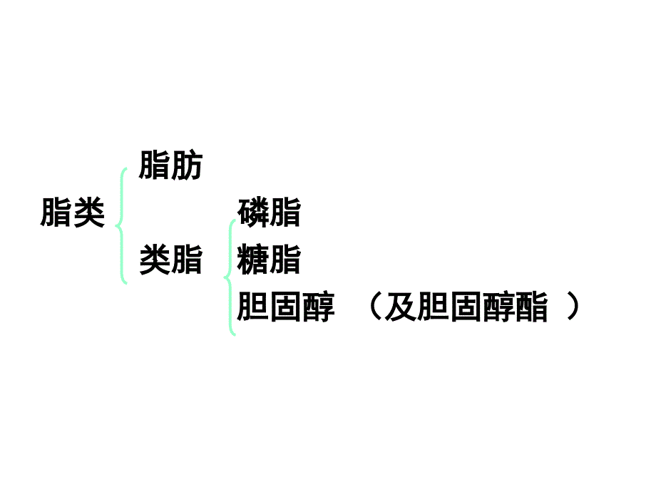 第十章脂类代谢_第3页