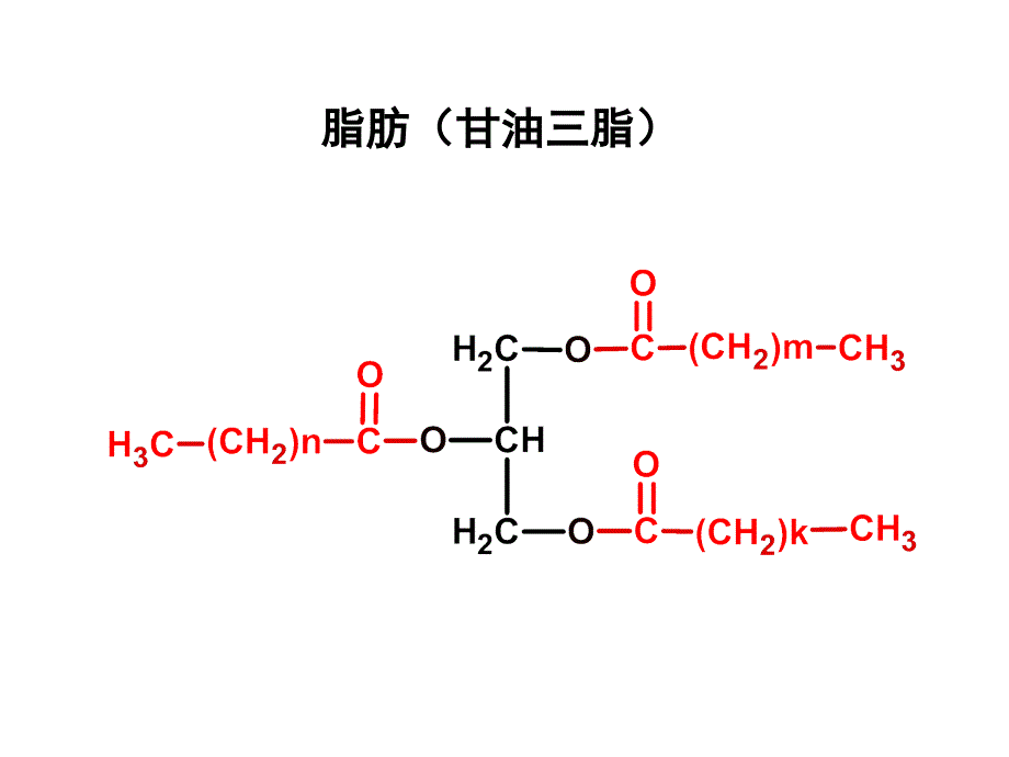 第十章脂类代谢_第4页