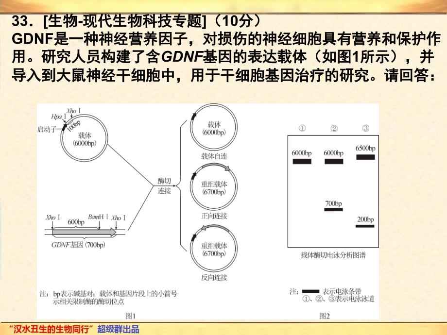 1.2基因工程的基本操作程序_第3页