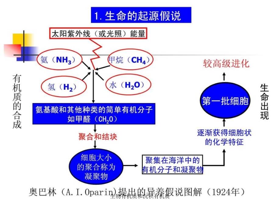 生物有机质和沉积有机质课件_第4页