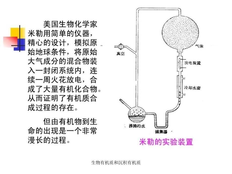 生物有机质和沉积有机质课件_第5页