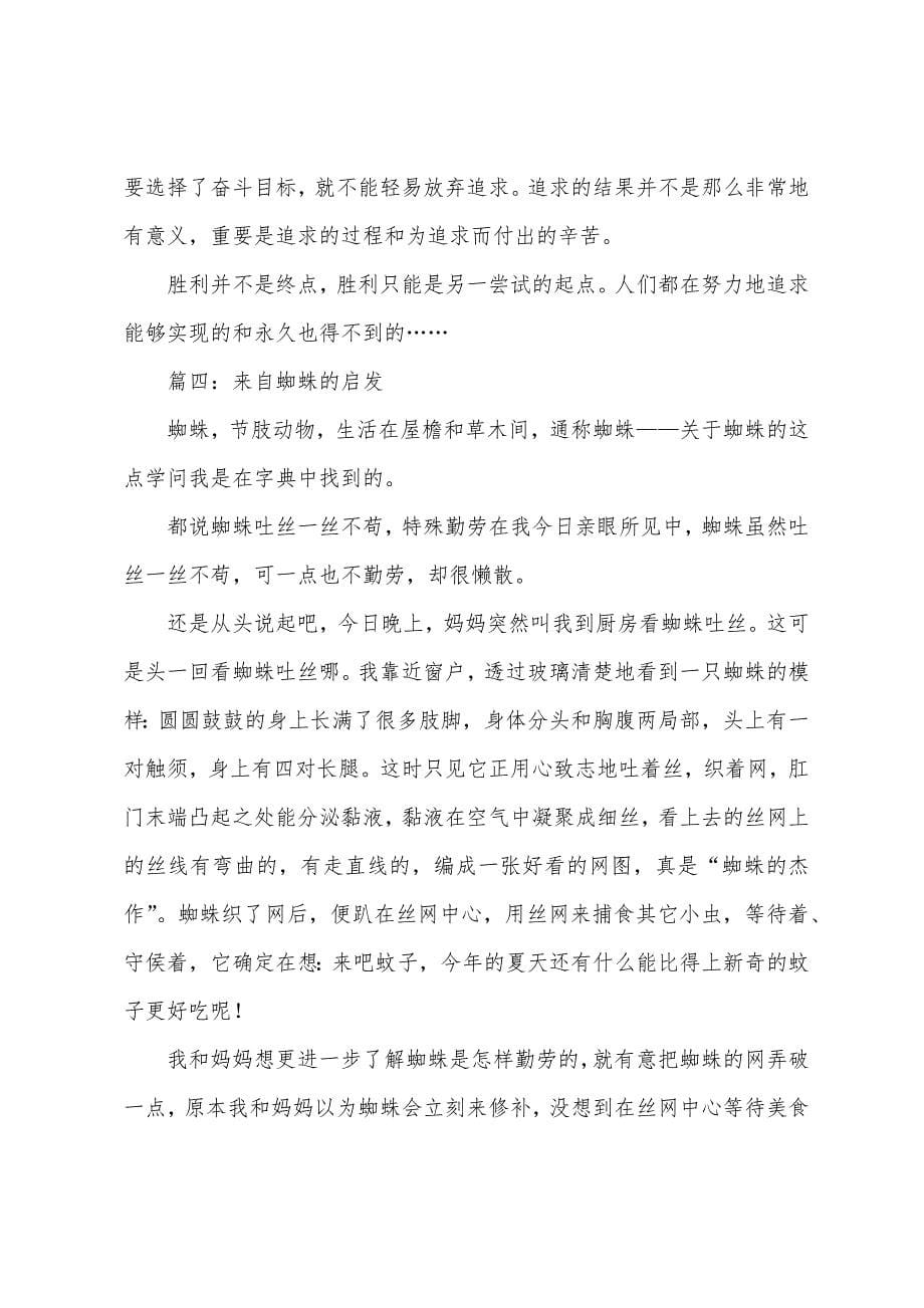 来自蜘蛛的启示.docx_第5页