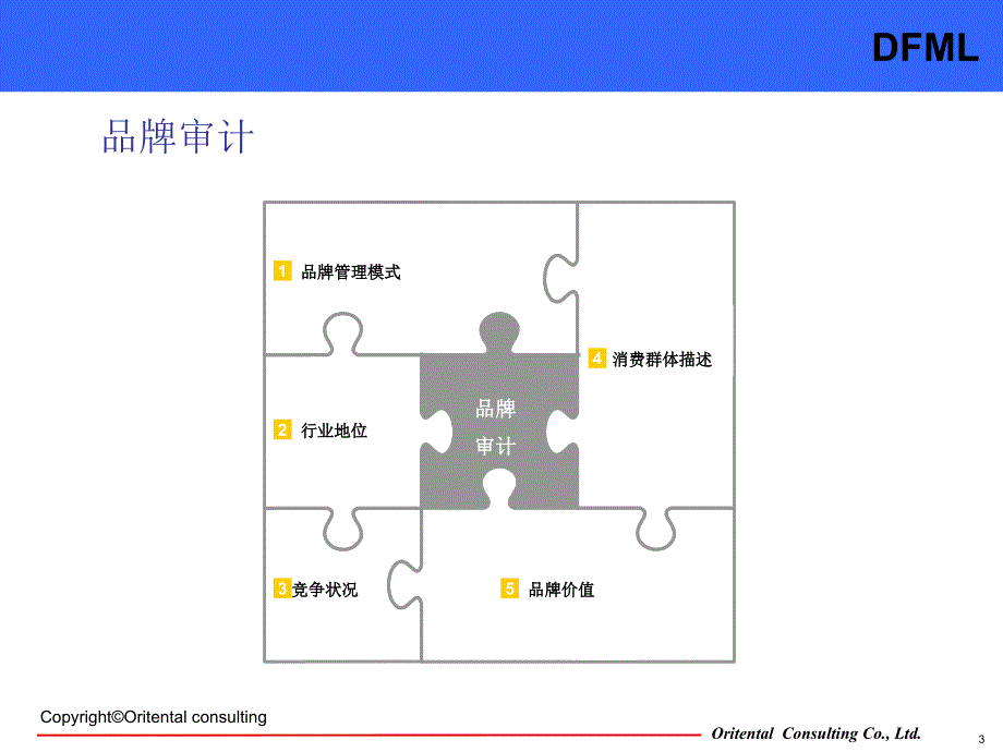 东方明略品牌管理咨询工具_第3页