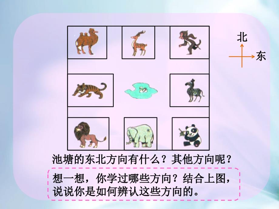 【北师大版】二年级下册数学ppt课件 整理与复习——动物家园教学课件_第3页