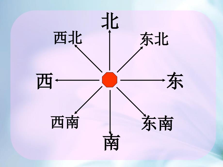 【北师大版】二年级下册数学ppt课件 整理与复习——动物家园教学课件_第4页