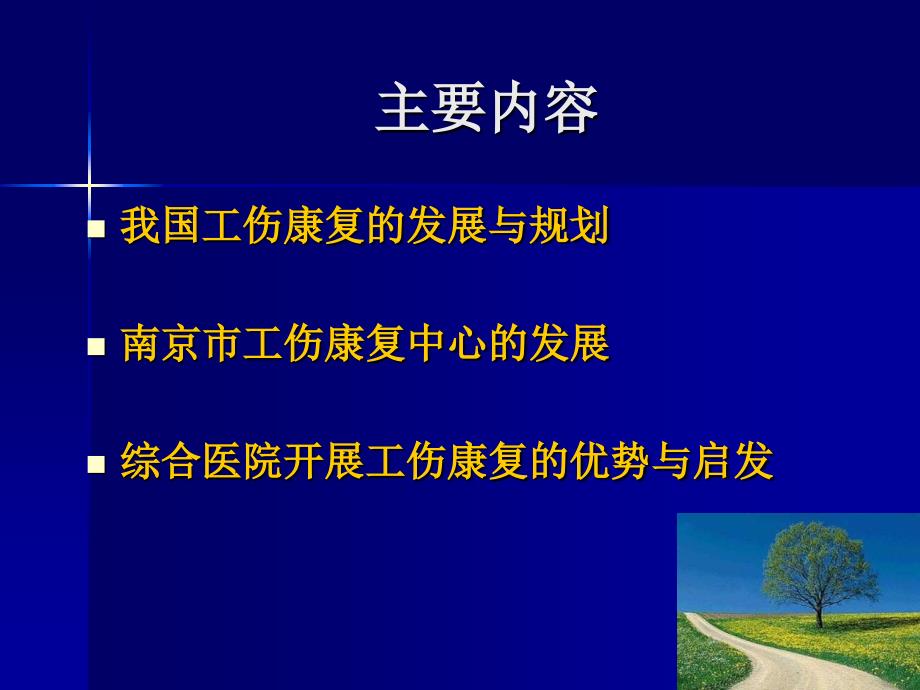 李雪萍综合医院工伤康复中心发展模式119文档资料_第1页