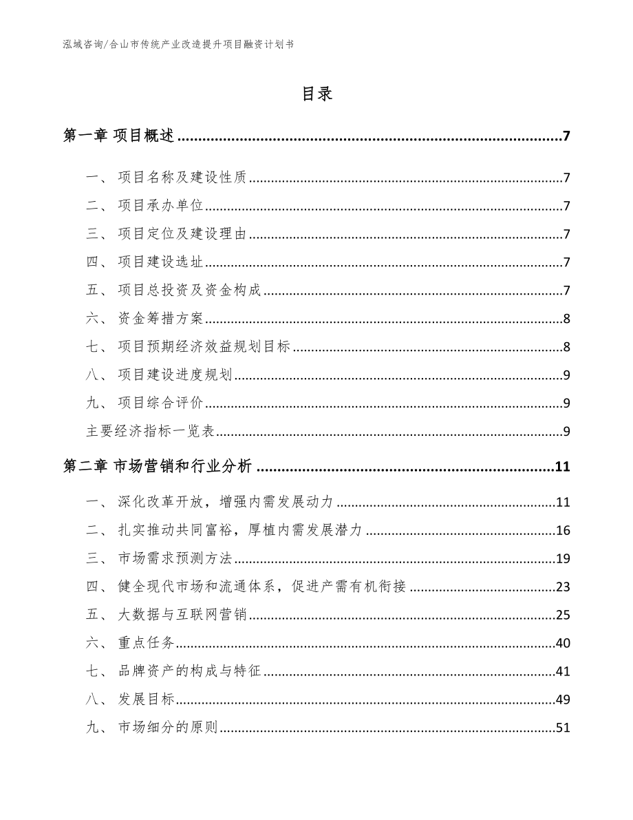 合山市传统产业改造提升项目融资计划书_模板范本_第2页