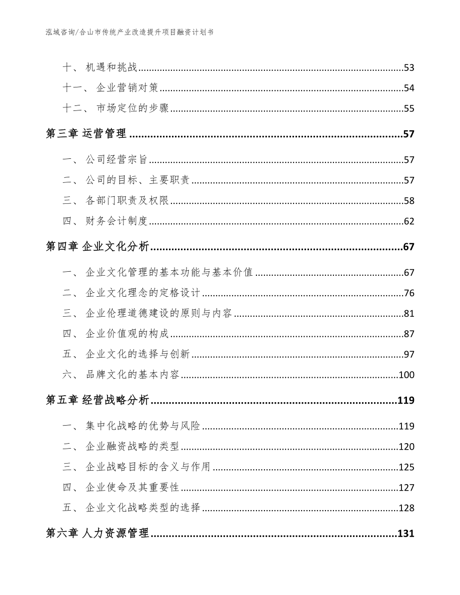 合山市传统产业改造提升项目融资计划书_模板范本_第3页