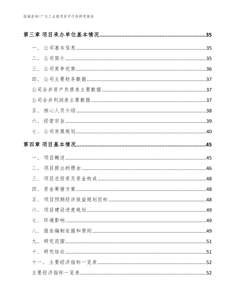 广元工业氢项目可行性研究报告模板参考_第4页