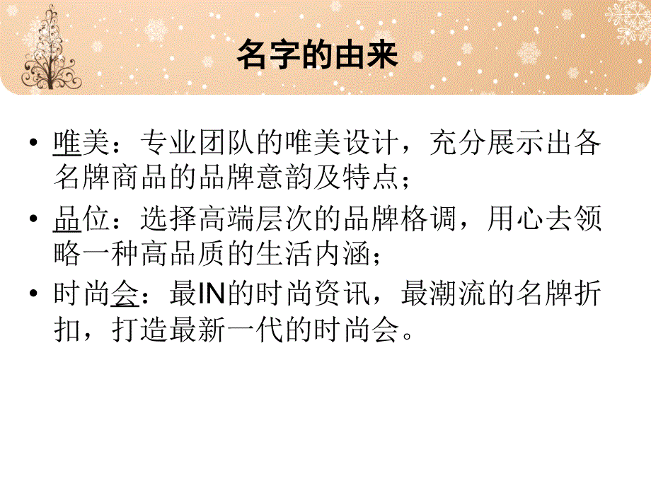 唯品会电子商务方面的PPT_第2页