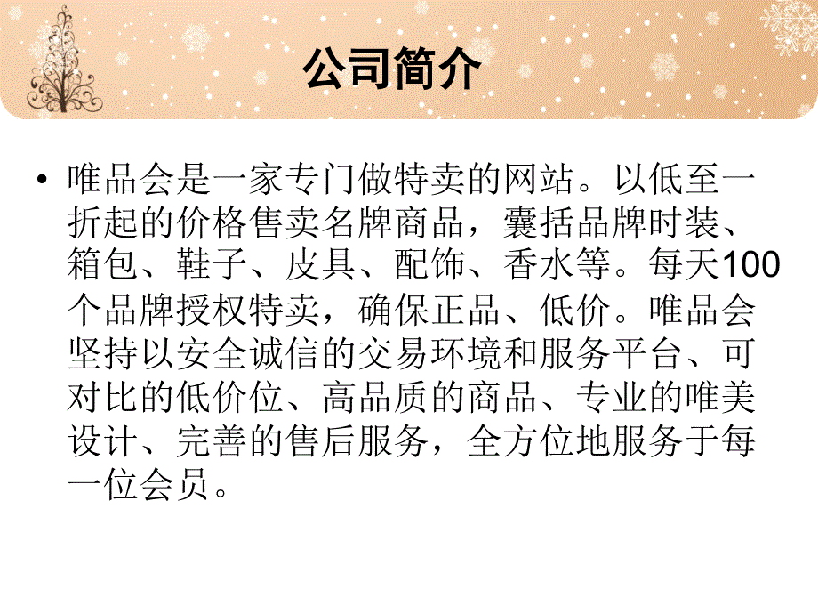 唯品会电子商务方面的PPT_第3页